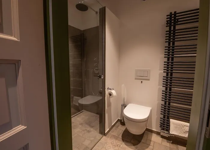 Alte Zollstation- Historical Building מלון 4*